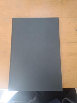 [Livro de Atas de Reunião da Direção]